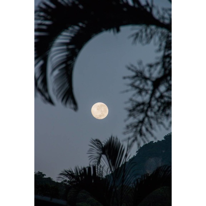 PVC öntapadó tapéta - Hold, 100 x 150 cm