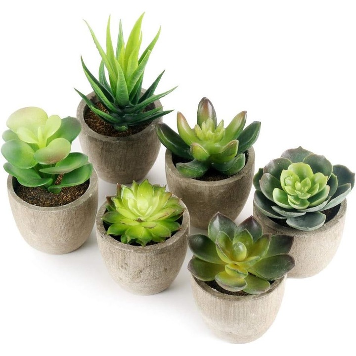 Műnövények, QttvbTna, 6 darabos szett, szürke/zöld, 6x5 cm-es cserép