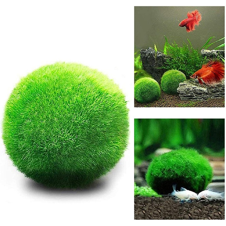 Комплект от 10 топчета мъх за аквариум, QttvbTna, 2 см, Зелен