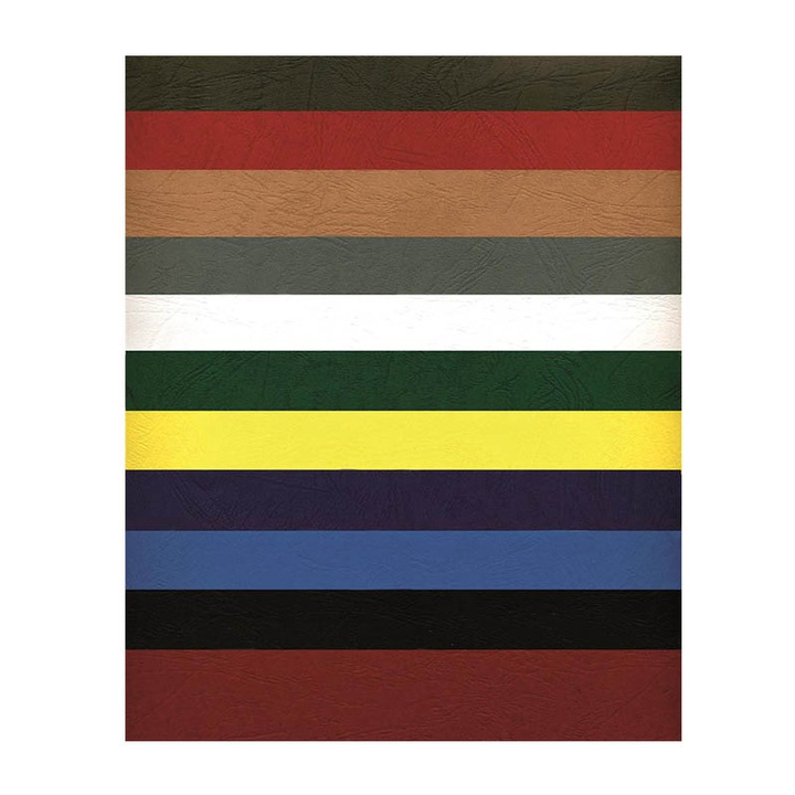 Set 100 coperte de legare, Argo, Multicolor