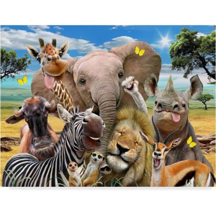 Pictura cu diamante safari, Norimpex, Multicolor