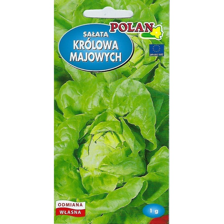Seminte, Polan, Salata verde, 1g