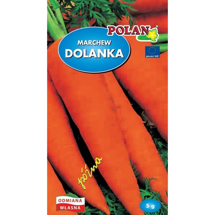 Sárgarépa mag, Polan, 5g