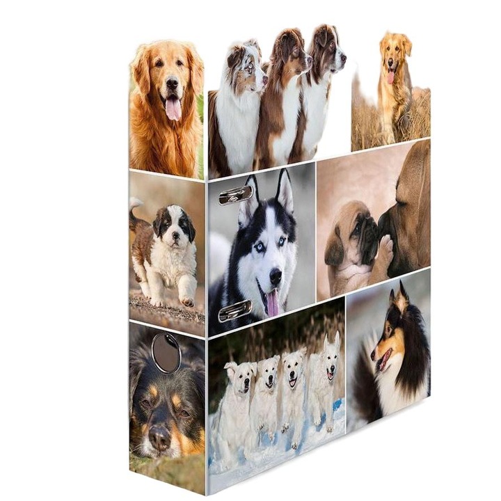 Етажерка за книги, HERMA, A4, Многоцветна