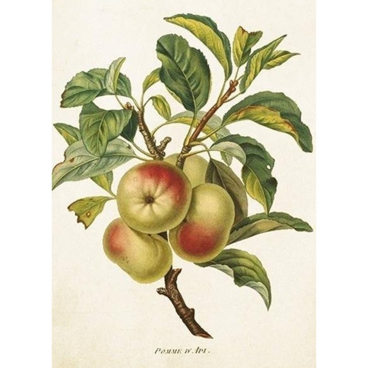 Felicitare Skona Ting B6 cu plic