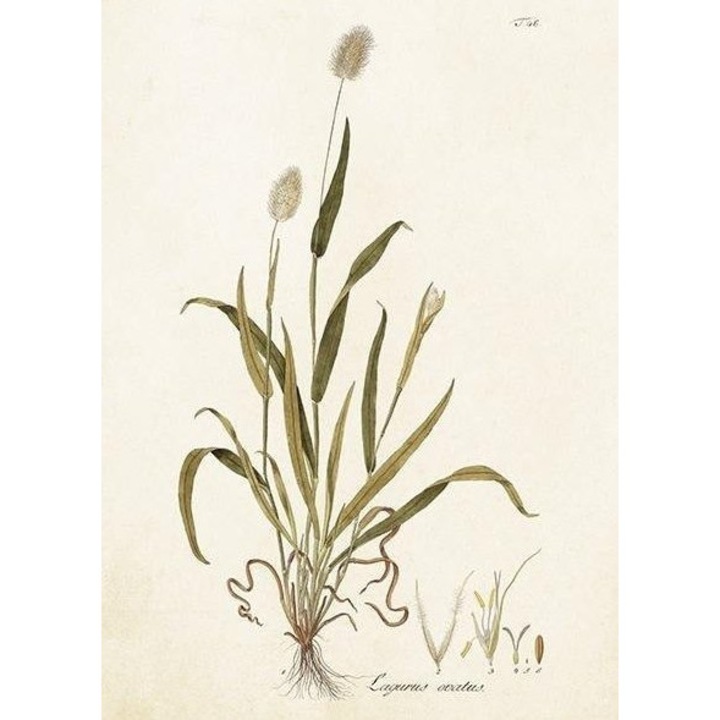 Felicitare Skona Ting, format B6, cu plic, model Dmuszek jajowaty