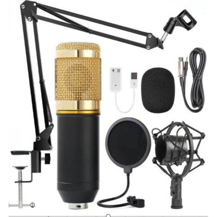 Set microfon, Forev, 16000 Hz, Mini Jack, Cardioid, Multicolor