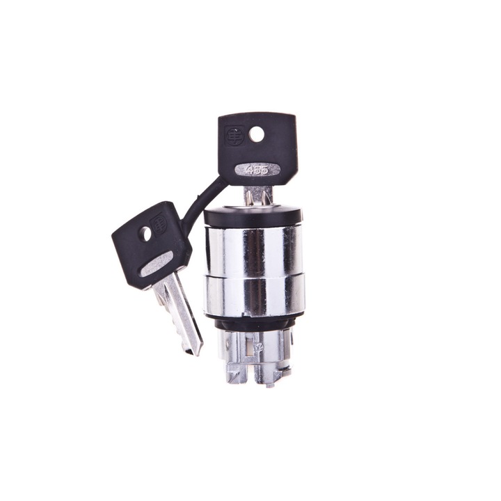 Servomotor cu comutator, Schneider lectric, Argintiu