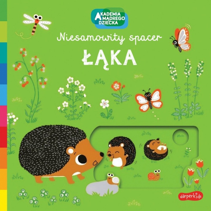 Niesamowity spacer, HarperCollins, Multicolor