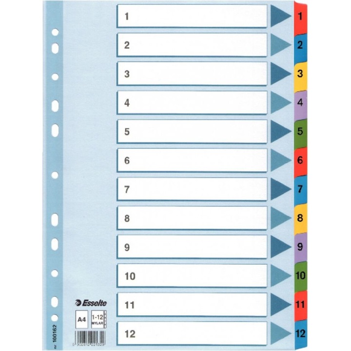 Set de indexuri colorate A4, Esselte, carton 160 g/m2