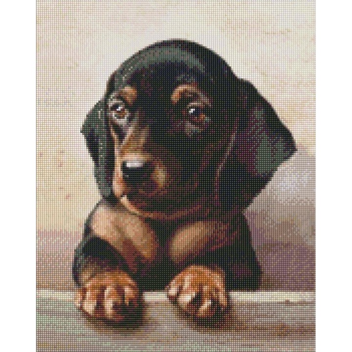 Mozaic de diamant, Norimpex, Aspect dedicat, 40x50 cm