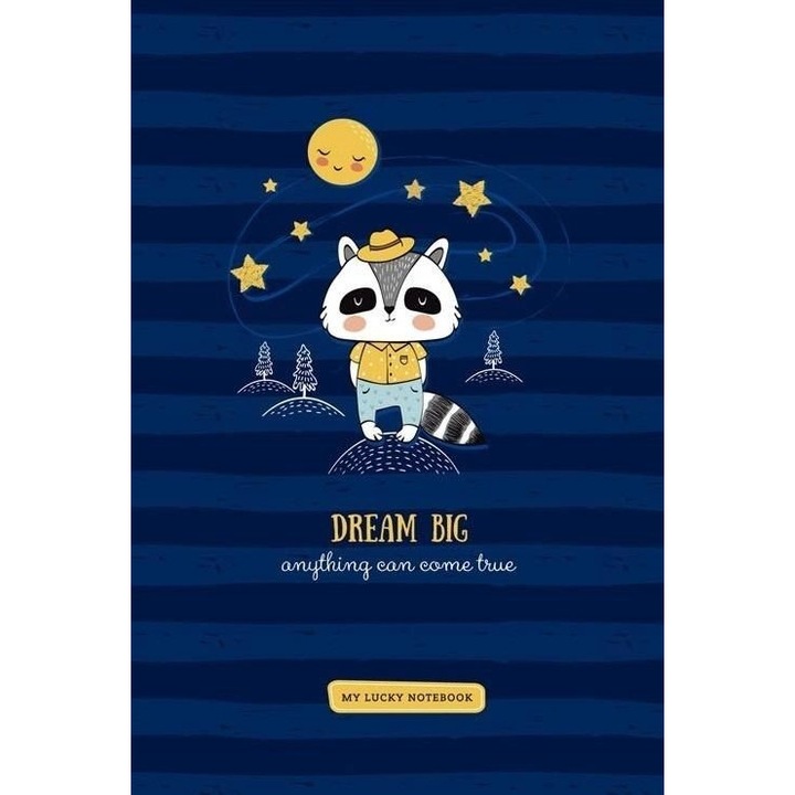 Caiet decorativ 143x210/80K grila raton