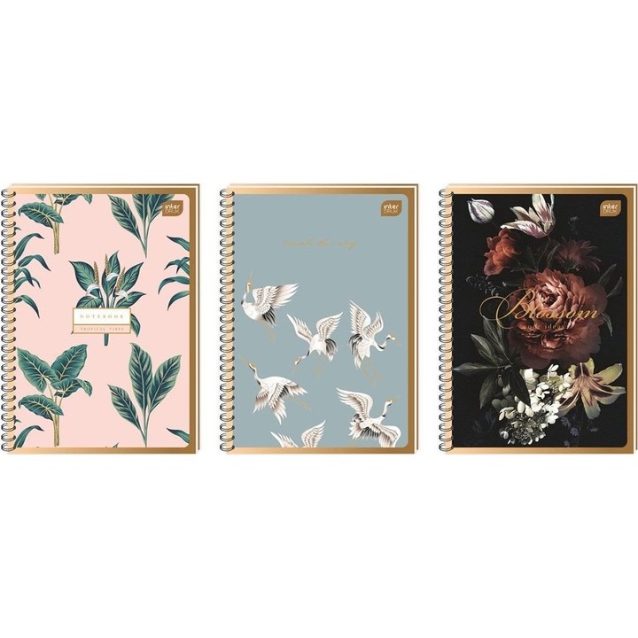 Set 10 caiete, Interdruk, A4, Multicolor