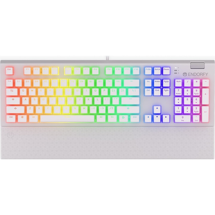 Tastatura Omnis GTC, Endorfy, BR, RGB, Alb