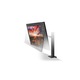 Монитор LG 32UN880P-B, 31.5" UltraFine Ergo 4K, IPS AG, DCI-P3 95%, 5ms, 350 cd/m2, 1000:1, 3840x2160, HDR 10, USB Type-C, USB, HDMI, DisplayPort, AMD FreeSync, Speaker 5Wx2, Game Mode, Reader Mode, PIP, Tilt/Height/Swivel/Pivot/ Extend/Retract 32UN880P-B