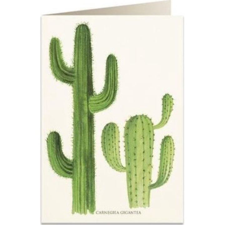 Felicitare cu plic, Tassotti, Motive cactusi