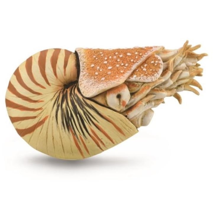 Фигурка, Наутилус Помпилиу, Многоцветна, 3 години