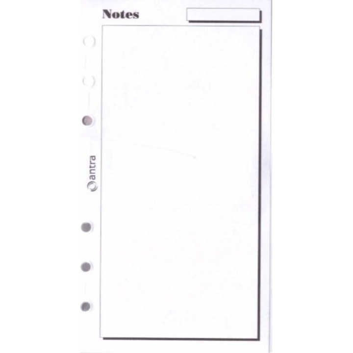 \Insert pentru organizator, Antra, ST Notes