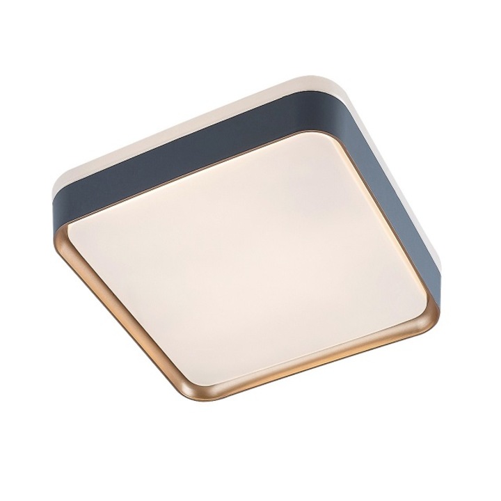 LED mennyezeti lámpa Liatris 26W 71029