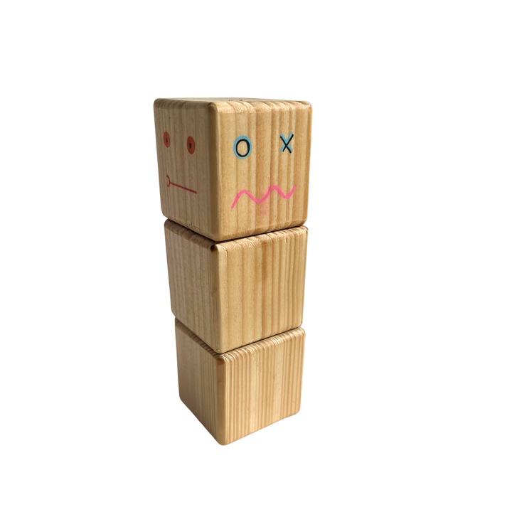 Decoratiune lemn interactiva Wood 4 Mood cu 4 emotii si magnet - Editia Festival