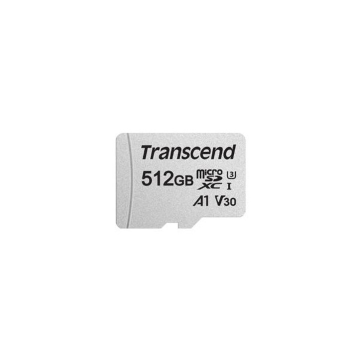 Card de memorie, Transcend, 512 GB, Class 10, Gri