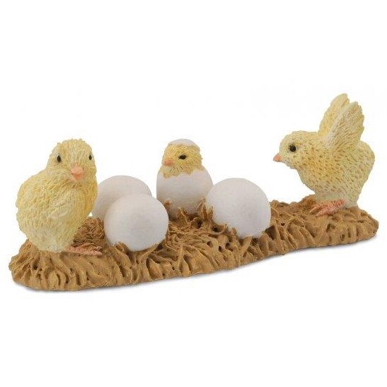 Puii din ou - collecta