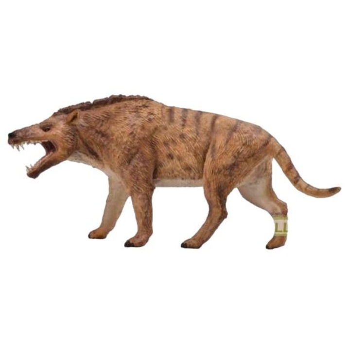 Фигурка, Collecta, модел на динозавър Andrewsarchus, многоцветен