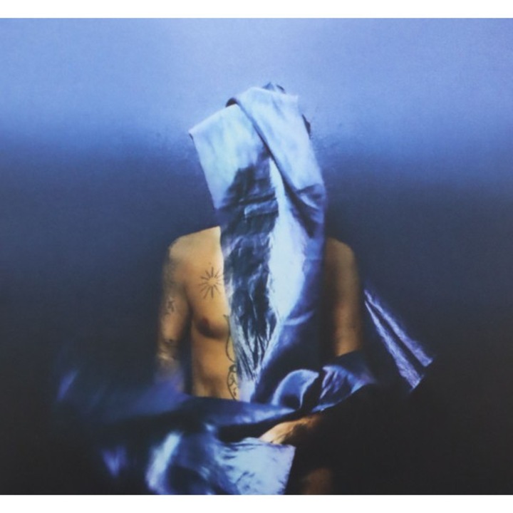 Devendra Banhart: Flying Wig [CD]