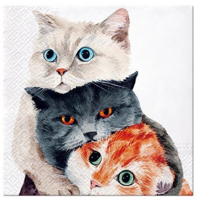 Set 20 servetele, PAW, Hartie, Multicolor