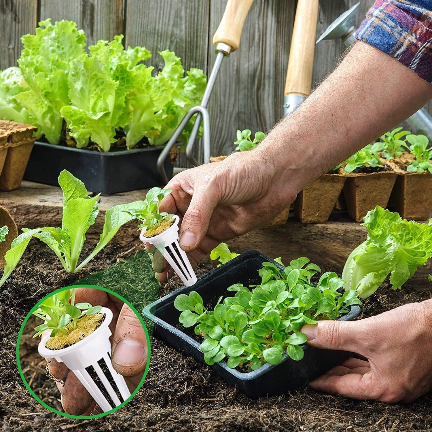 Set 50 cosuri plantare, LLWL, Plastic, Alb - eMAG.ro