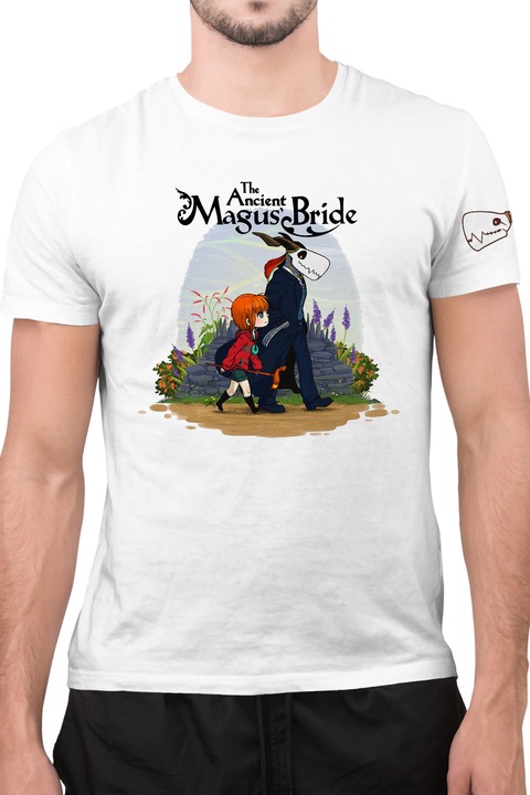 The Ancient Magus' Bride Elias Ainsworth Chise Hatori Mistery