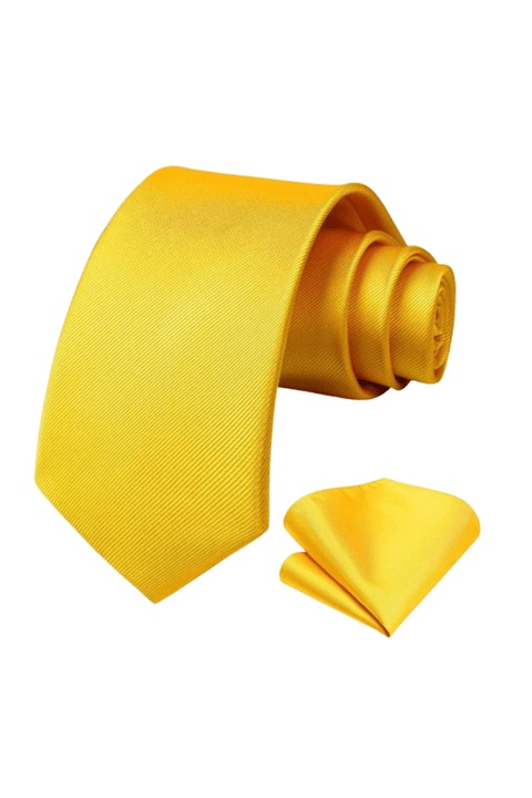 Set Cravata si Batista, Culoare Auriu, 148 x 8 cm