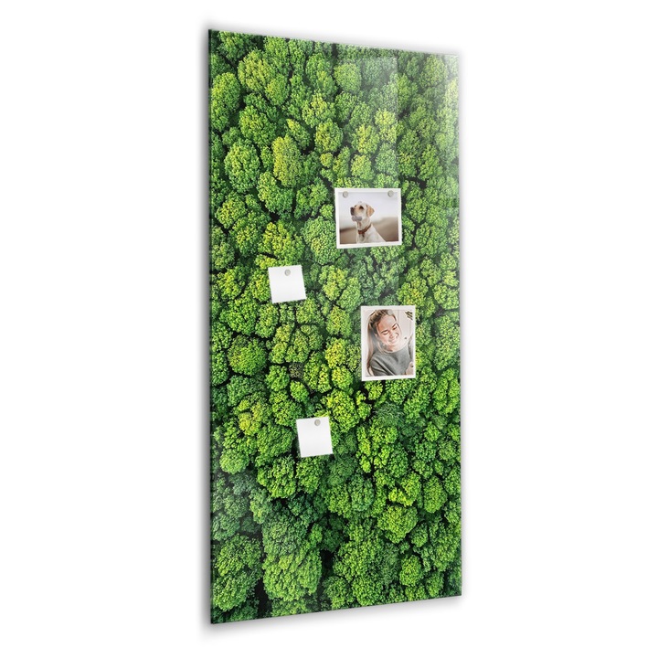Магнитна дъска Tulup, Природата на горското дърво, 60 cm x 120 cm, Зелено