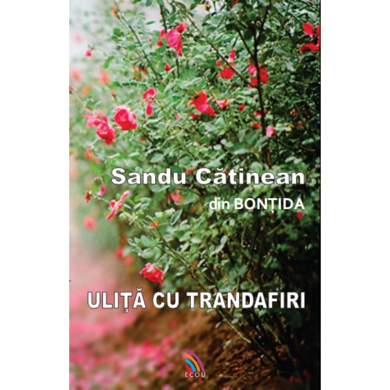 Ulita cu trandafiri - Sandu Catinean