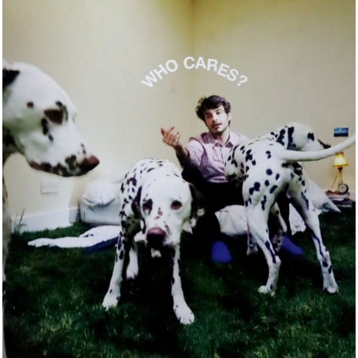 Rex Orange County: Who Cares? [Winyl]