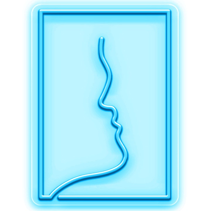 Semn Luminos LED Neon Tablou, Portocaliu, 30x41x0.8cm