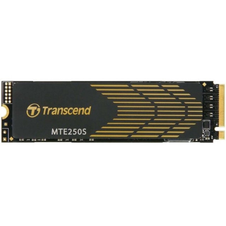 Winchester SSD, Transcend, 1TB M.2