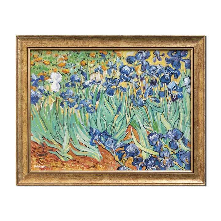 Tablou celebru inramat living, hol, dormitor pictat manual, Irisi la Saint-Remy, 45x35cm ulei pe panza reproducere Vincent van Gogh