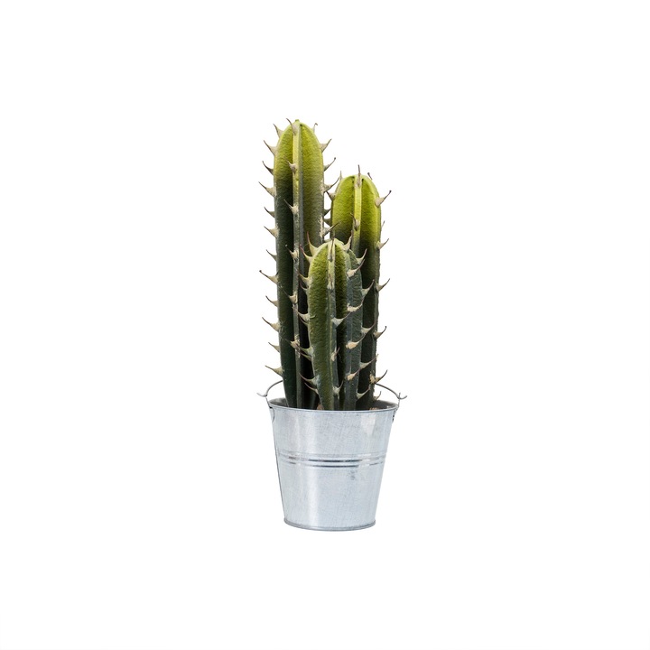 Aranjament artificial, cactus in ghiveci de tabla, 40x12 cm, B.S.P. / SL694-1
