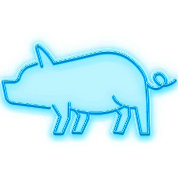 Semn Luminos LED Neon Porc, Cyan, 237x125x0.8cm
