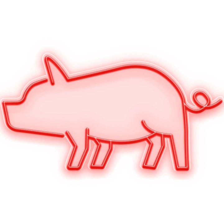 Светеща LED неонова табела за прасе, червена, 237x125x0,8 см