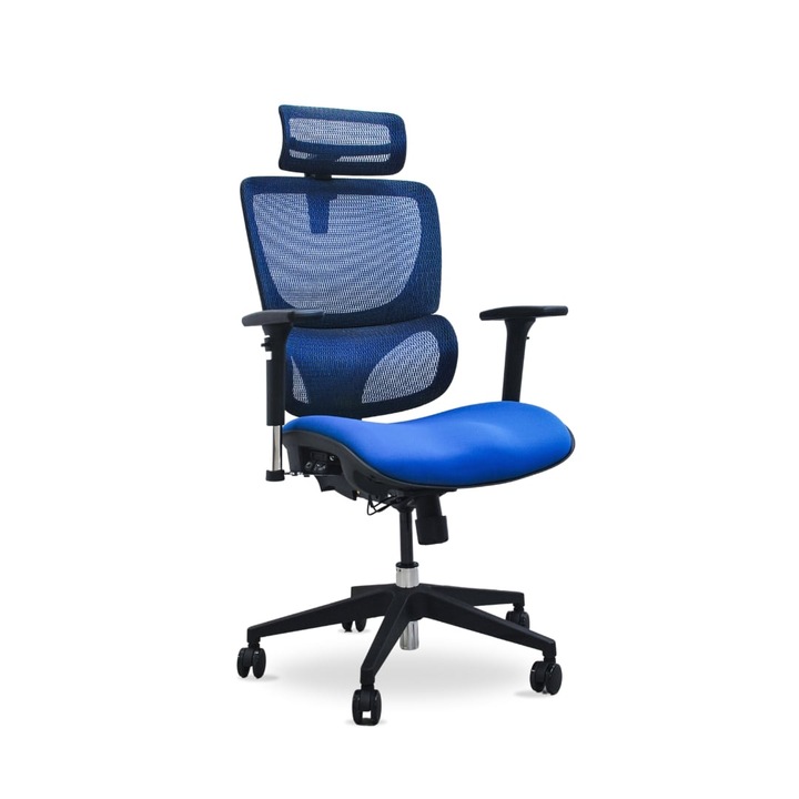 Scaun de birou ergonomic, Ergowave, Spatar mesh albastru, Sezut tapitat albastru