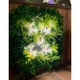 Semn Luminos LED Neon Cocktails & Dreams, Alb rece, 50x51x0.8cm