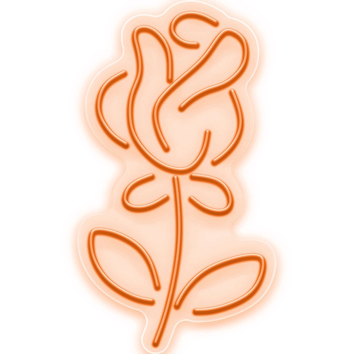 Semn Luminos LED Neon Rose, Portocaliu, 32x57x0.8cm