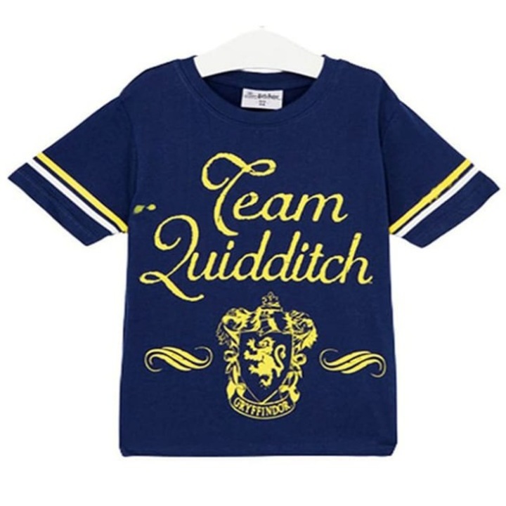 Harry Potter quidich pólók, Kék