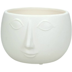 Ghivece si suporturi