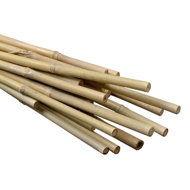 Bete din bambus 183cm ⌀ 12/14mm 1 buc