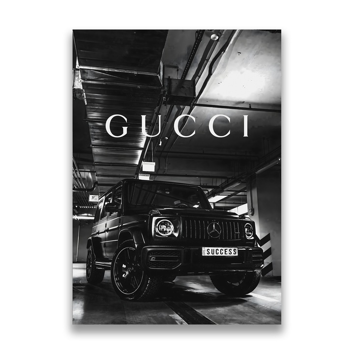 Първокласна картина на платно, LuxCanva® A1124, Gucci, 40 X 60 CM, 100% памучно платно 400g/m2, Дървено шаси, Mercedes, Success, Бяло, Черно