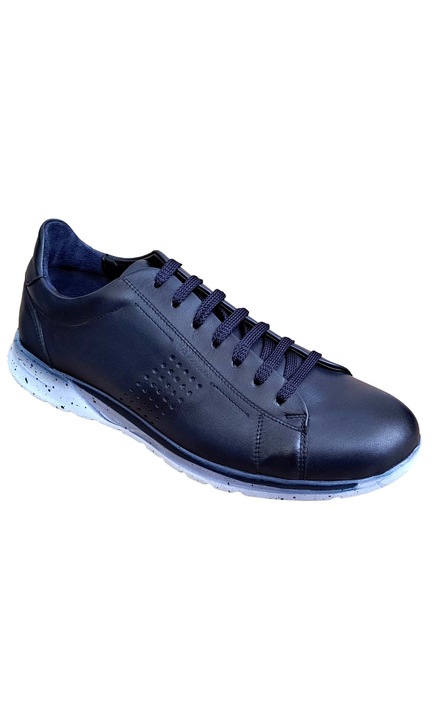 Pantofi barbati, casual, din piele naturala, bleumarin, Alexander, Nevalis, TEST397BL marimea 44