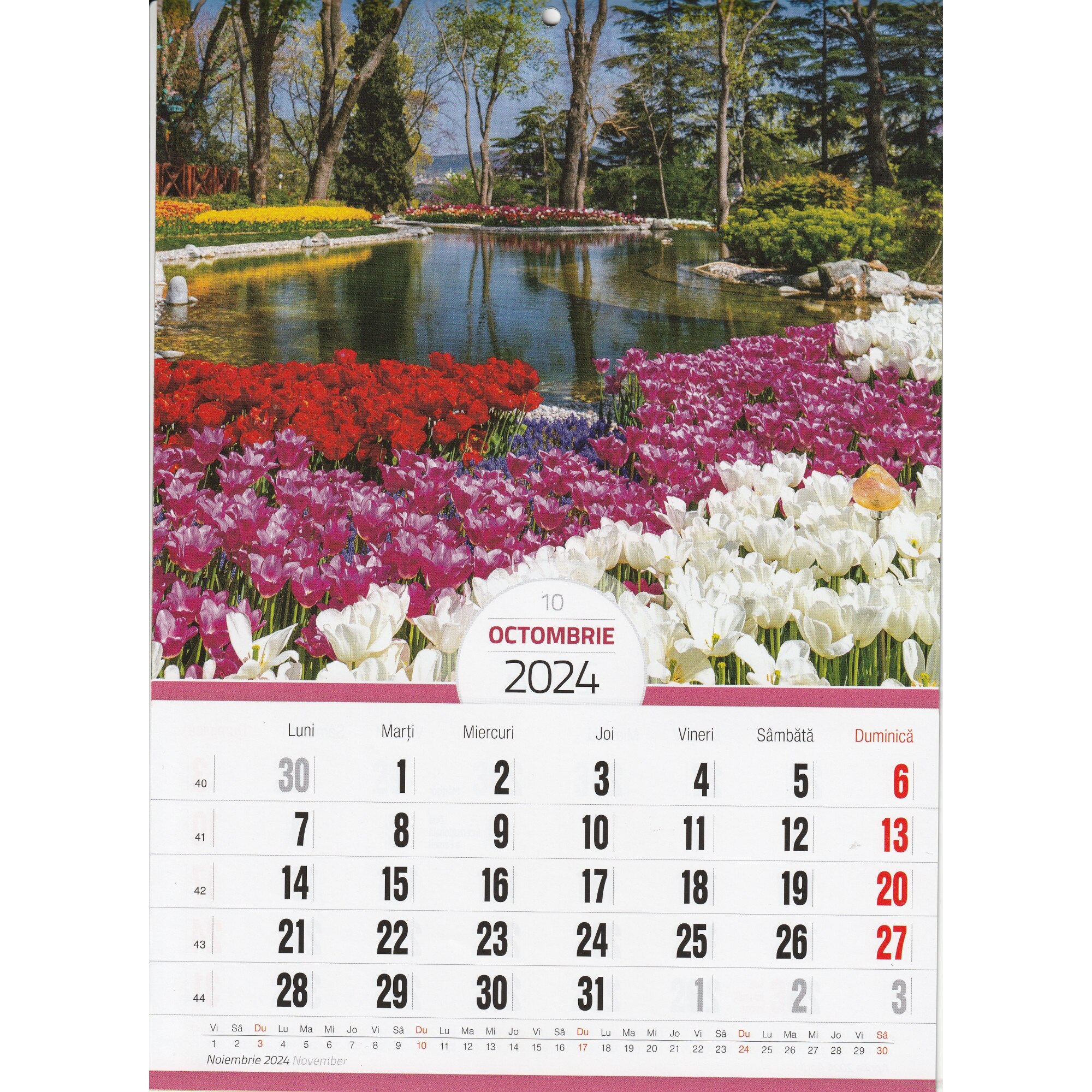 Calendar Gradini anul 2024, format A4, 8 file -O-Press - eMAG.ro